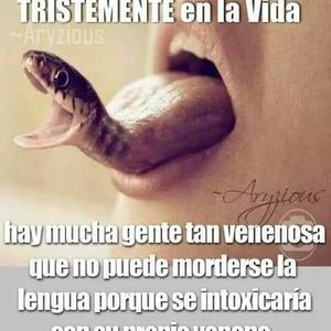 Meet your Posher, Virginia